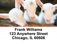 Goats Address Labels | LBANI-28