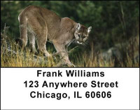Cougars Address Labels | LBANI-31