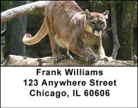 Cougars Address Labels | LBANI-31