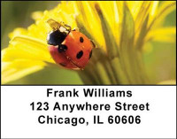 Ladybugs Address Labels | LBANI-32
