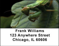 Praying Mantises Address Labels | LBANI-34