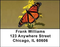 Monarch Butterflies Address Labels | LBANI-38