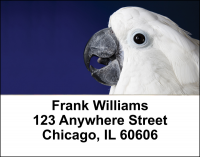 Cockatoos Address Labels | LBANI-42
