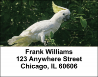 Cockatoos Address Labels | LBANI-42