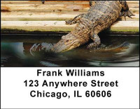 Alligators and Crocodiles Address Labels | LBANI-43