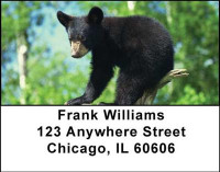 Black Bear Cubs Address Labels | LBANI-44