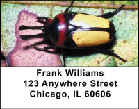 Beatles Address Labels | LBANI-45