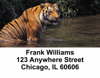 Bengal Tigers Address Labels | LBANI-46
