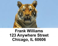 Bengal Tigers Address Labels | LBANI-46