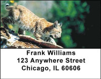 Bobcats Address Labels | LBANI-48