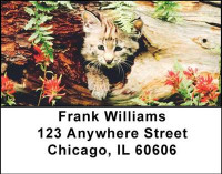 Bobcats Address Labels | LBANI-48