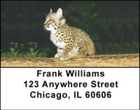 Bobcats Address Labels | LBANI-48