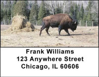 Buffalo Address Labels | LBANI-49
