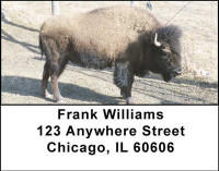 Buffalo Address Labels | LBANI-49