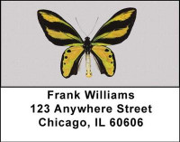 Butterfly Collector Address Labels | LBANI-50