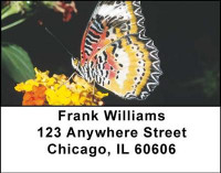 More Butterflies in Nature Address Labels | LBANI-51