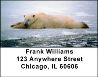 Arctic Bliss Address Labels | LBANI-52