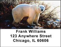 Arctic Bliss Address Labels | LBANI-52