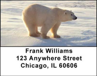 Arctic Bliss Address Labels | LBANI-52