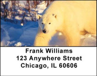 Arctic Bliss Address Labels | LBANI-52