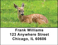 Deer Fawn Address Labels | LBANI-57