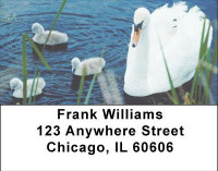 Ducklings in Spring Address Labels | LBANI-63