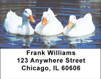 Duck Lovers Address Labels | LBANI-66