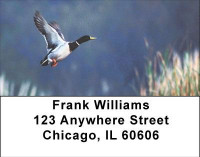 Duck Lovers Address Labels | LBANI-66