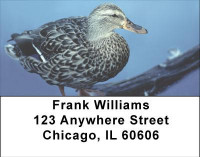 Duck Lovers Address Labels | LBANI-66