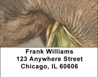 Up Close and Personal Address Labels | LBANI-69