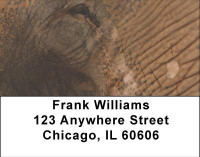 Up Close and Personal Address Labels | LBANI-69