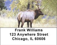 Elk in the High Country Address Labels | LBANI-72