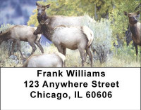 Elk in the High Country Address Labels | LBANI-72