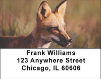 Sly as a Fox Address Labels | LBANI-75