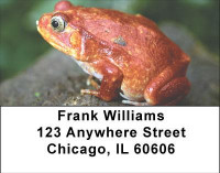Funky Frogs Address Labels | LBANI-76