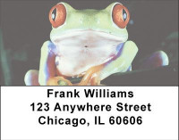 Eyes of the Frog Address Labels | LBANI-77