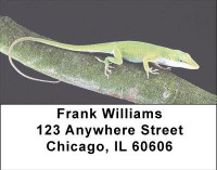 Geckos Address Labels | LBANI-78