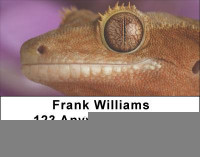 Geckos Address Labels | LBANI-78