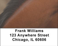 Horses Up Close and Personal Address Labels | LBANI-83