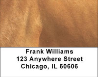 Horses Up Close and Personal Address Labels | LBANI-83