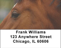 Horses Seeing Eye to Eye Address Labels | LBANI-85