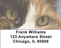 Cat Eyes Address Labels | LBANI-86