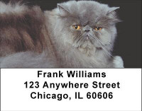 Persian Pedigrees Address Labels | LBANI-88