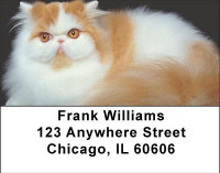 Persian Pedigrees Address Labels | LBANI-88