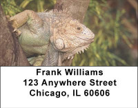 Iguana Be Cool Address Labels | LBANI-89