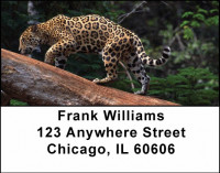 Jaguar Address Labels | LBANI-90