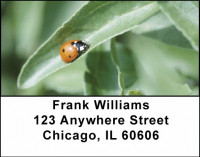 Spot the Ladybug Address Labels | LBANI-91