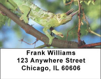 Lively Lizards Address Labels | LBANI-98