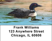 Composure Address Labels | LBANI-99