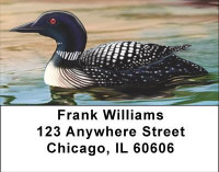 Composure Address Labels | LBANI-99